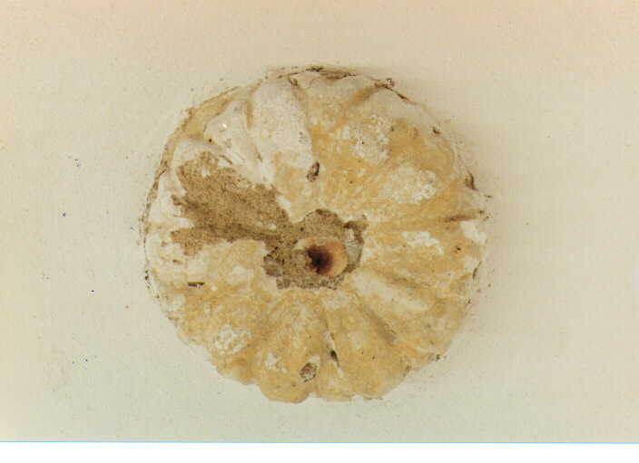 chiave di volta - ambito salentino (sec. XVI)