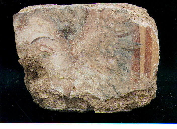 volto (dipinto, frammento) - ambito salentino (prima metà sec. XVII)