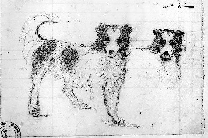 R/ studio di cane; V/ studio di teste (disegno preparatorio) di De Napoli Michele (attribuito) (sec. XIX)