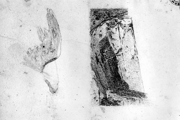 studio di ali e rocce (disegno preparatorio) di De Napoli Michele (attribuito) (sec. XIX)