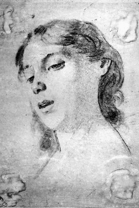 studio di testa femminile (disegno preparatorio) di De Napoli Michele (attribuito) (sec. XIX)