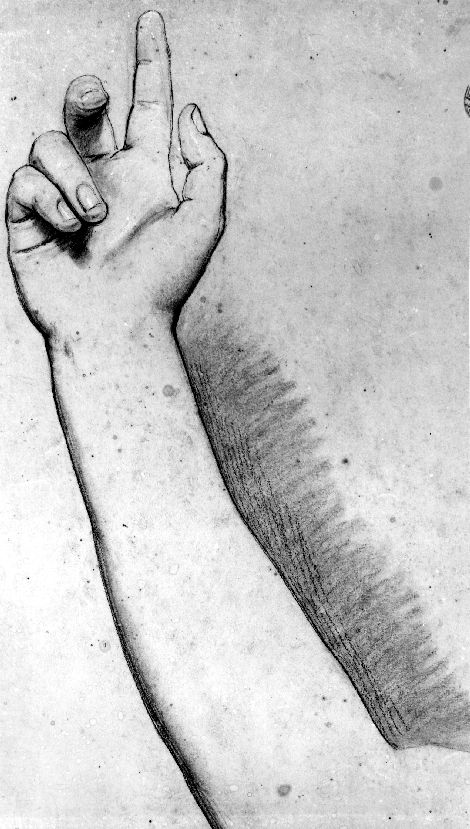 studio di mani e avambraccio (disegno) di De Napoli Michele (attribuito) (sec. XIX)