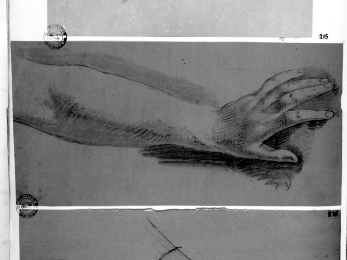 studio di mano sinistra con avambraccio (disegno preparatorio) di De Napoli Michele (attribuito) (sec. XIX)