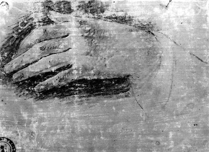 studio di mano sinistra (disegno) di De Napoli Michele (attribuito) (sec. XIX)