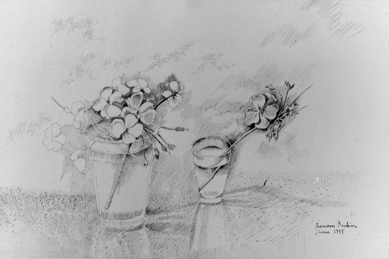 Fiori (disegno) di Barbieri Francesco (sec. XX)