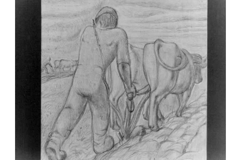 L'aratura (disegno) di D'Andrea Antonio (sec. XX)