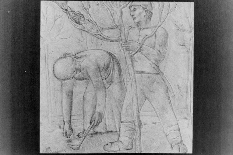 La potatura (disegno) di D'Andrea Antonio (sec. XX)