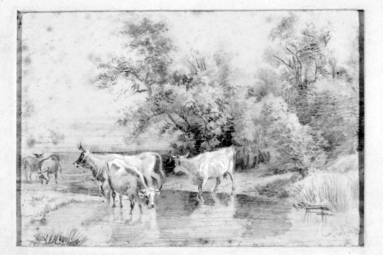 paesaggio con buoi al pascolo (disegno) di Palizzi Filippo (sec. XIX)