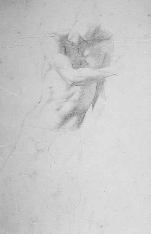 Ritratto virile (disegno) di Del Bono E (sec. XIX)