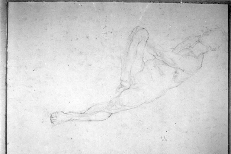 nudo virile (disegno) di Del Bono E (sec. XIX)