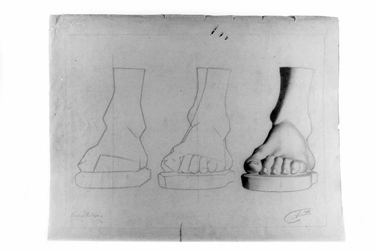 Studio di piede (disegno) di De Stefano Vincenzo (sec. XIX)