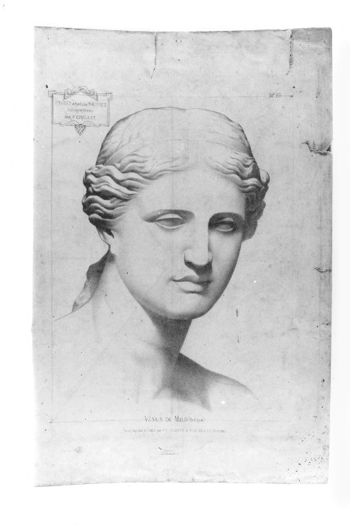Testa femminile (disegno) di De Stefano Vincenzo (sec. XIX)