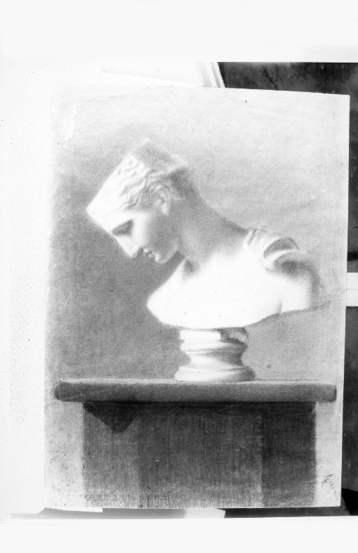 Busto virile (studio da calco) (disegno) di Girondi Raffaele (fine sec. XIX)