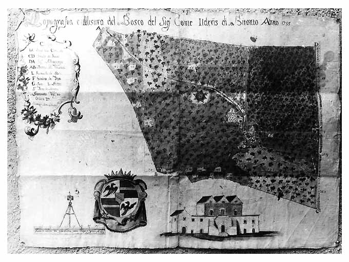 pianta del bosco del conte Ilderis (disegno) di Uva Michele (sec. XVIII)