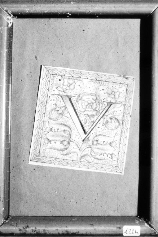 Lettera V con rose e tulipani (disegno) - manifattura italiana (sec. XVII)