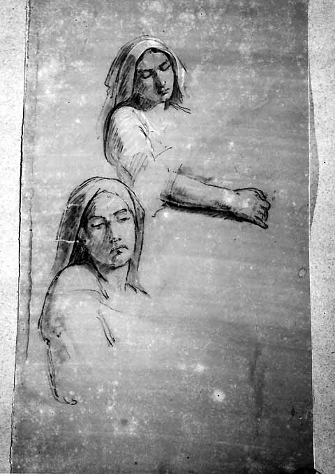 studi di donna (disegno) di De Napoli Michele (attribuito) (sec. XIX)