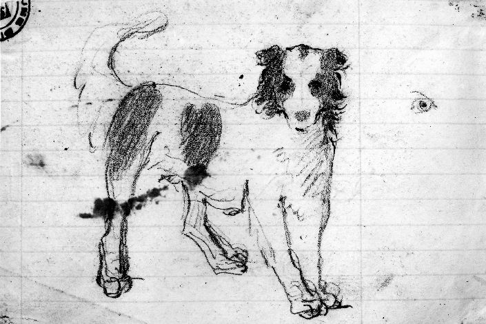 studio di cane (disegno preparatorio) di De Napoli Michele (attribuito) (sec. XIX)