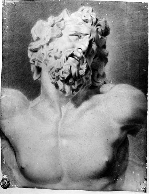 mezzo busto del Laocoonte (disegno) di De Napoli Michele (attribuito) (sec. XIX)