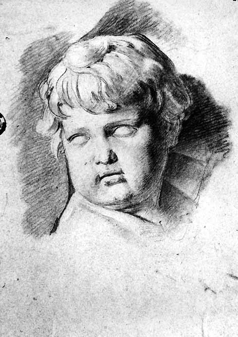 testa di putto (disegno) di De Napoli Michele (attribuito) (metà sec. XIX)