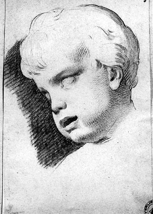 testa di putto (disegno) di De Napoli Michele (attribuito) (metà sec. XIX)
