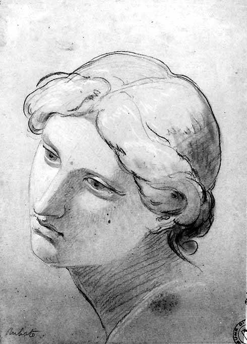studio di testa femminile (disegno) di De Napoli Michele (attribuito) (sec. XIX)