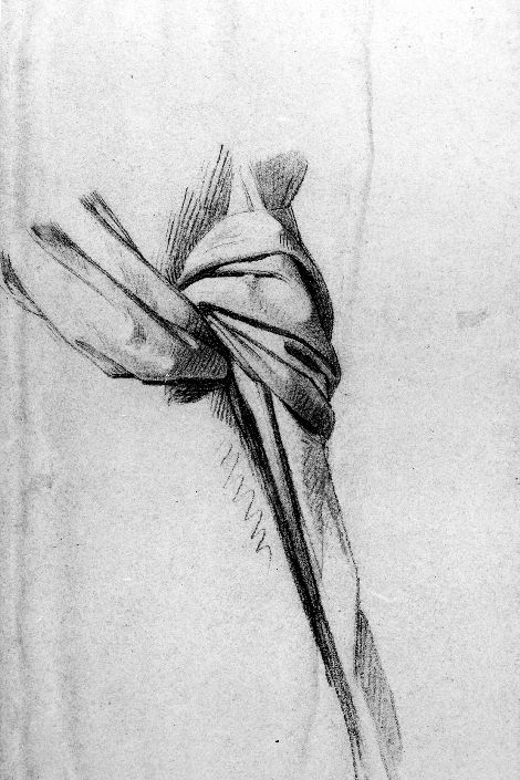 studio di nodo e panneggio (disegno) di De Napoli Michele (attribuito) (sec. XIX)