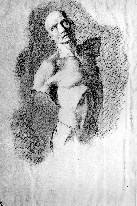 studio di torso maschile (disegno) di De Napoli Michele (attribuito) (sec. XIX)