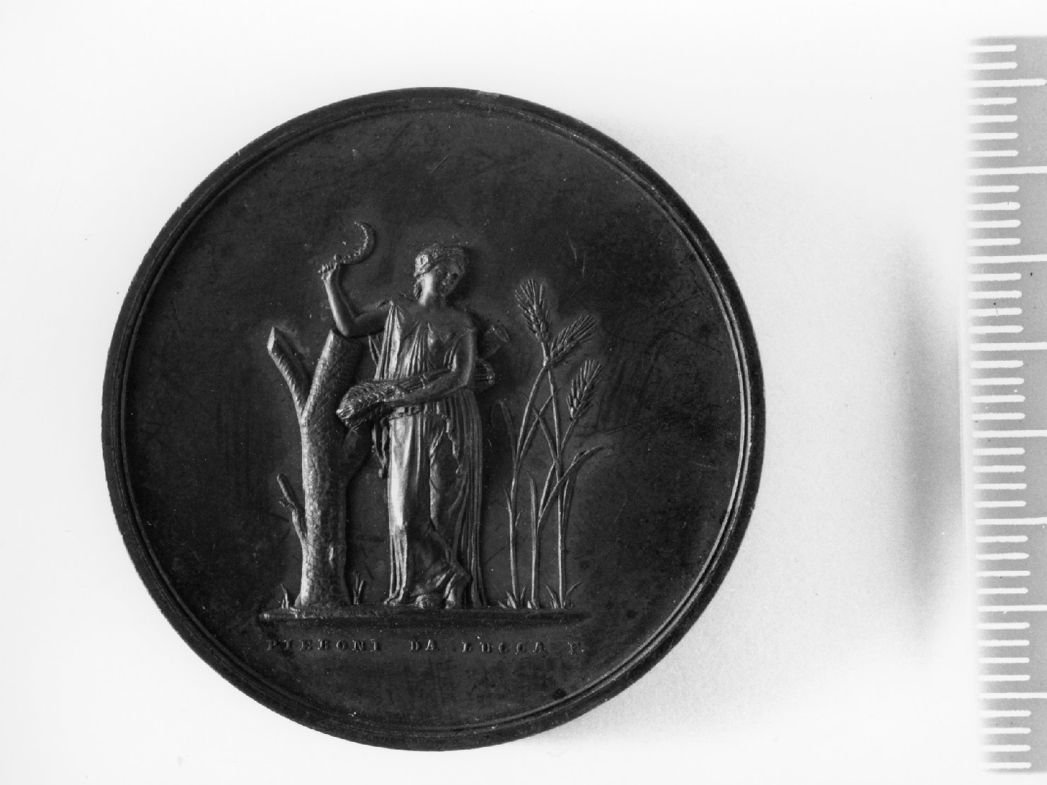 medaglia di Pieroni Adolfo (sec. XIX)