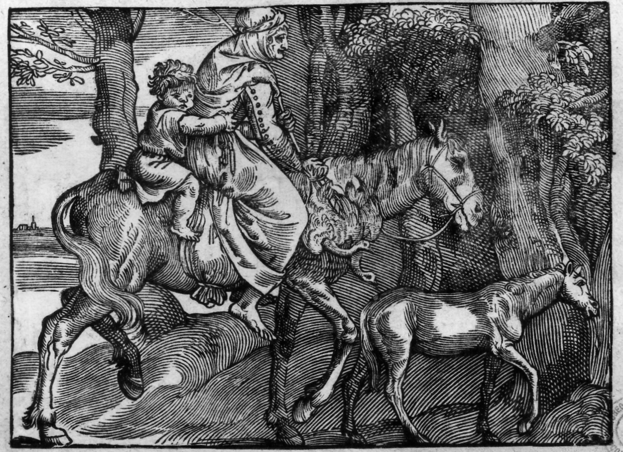 Famiglia di contadini che va al mercato, contadina a cavallo (stampa smarginata) di Schongauer Martin, Boldrini Niccolò (sec. XVI)