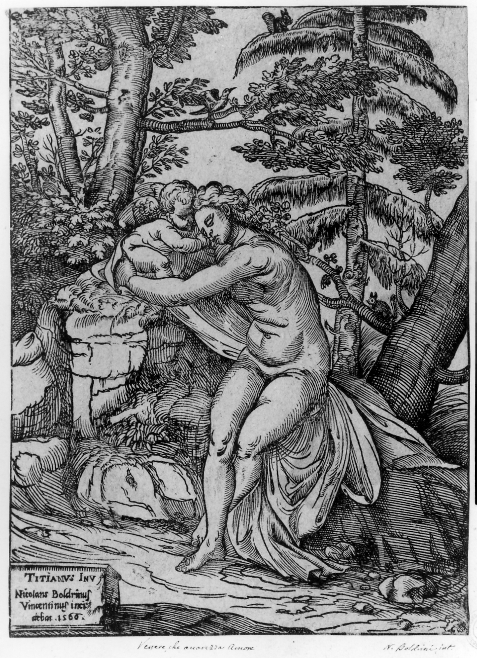 Venere e Cupido, Venere e Cupido (stampa smarginata) di Vecellio Tiziano, Boldrini Niccolò (sec. XVI)