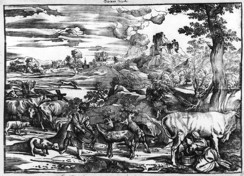 scena pastorale (stampa smarginata) di Boldrini Niccolò (attribuito), Vecellio Tiziano (attribuito) (primo quarto sec. XVI)
