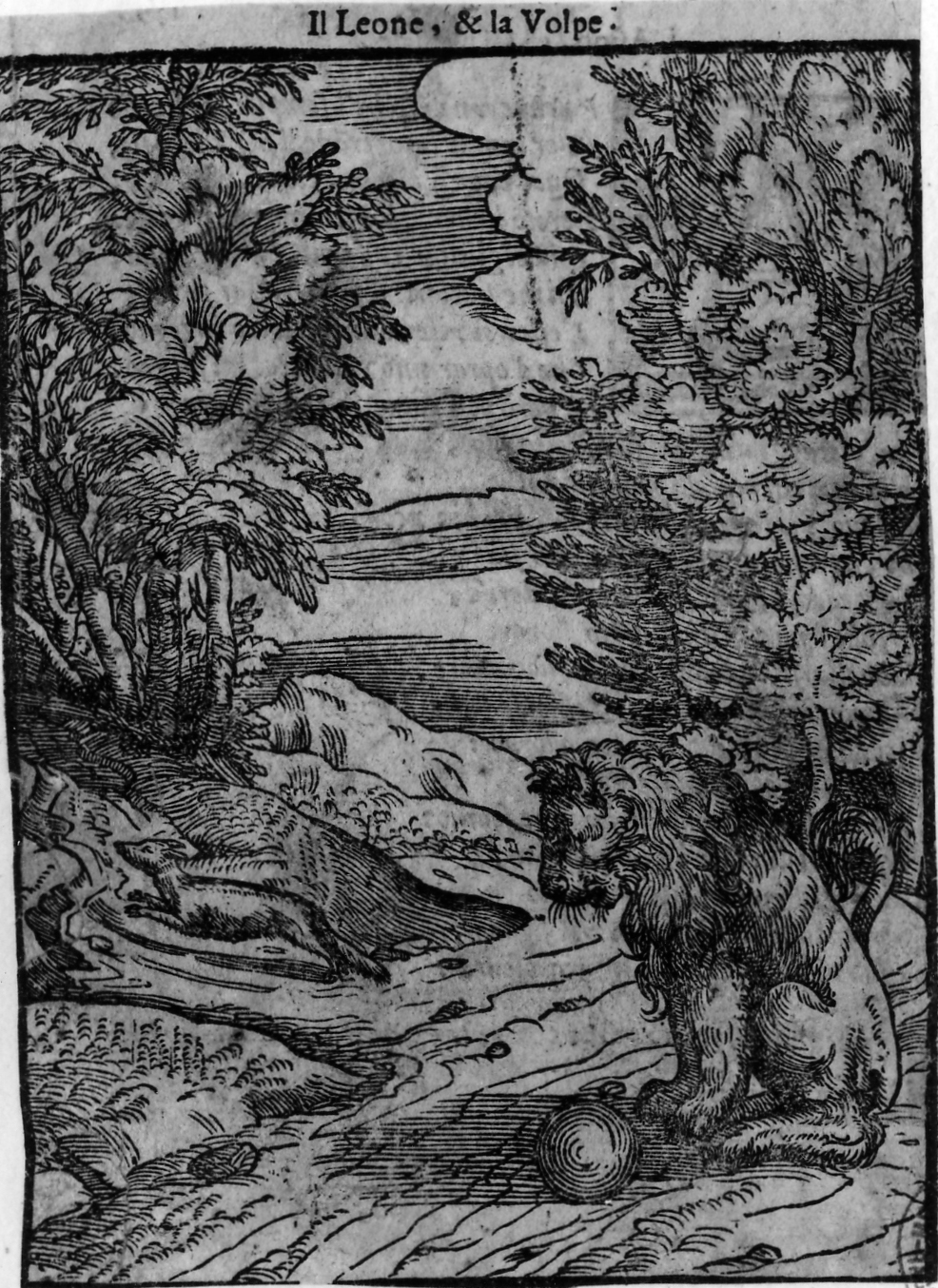 animali (stampa smarginata, serie) di Verdizotti Giovanni Mario (sec. XVI)