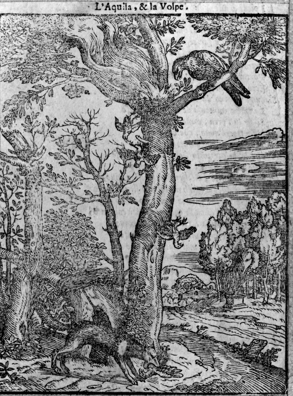 favola dell'aquila e la volpe (stampa smarginata, serie) di Verdizotti Giovanni Mario (sec. XVI)