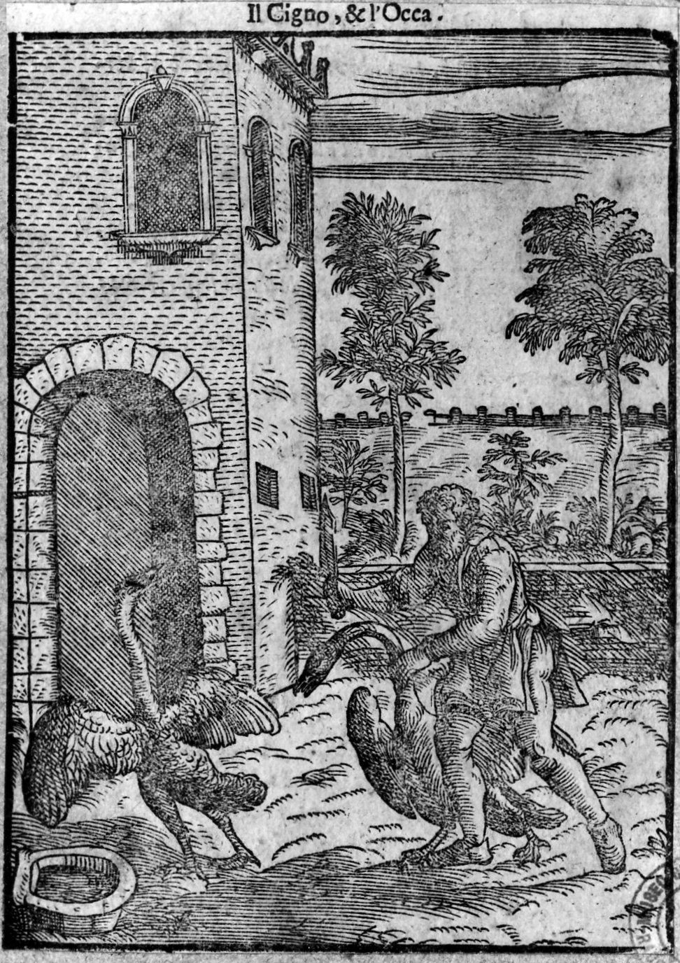 favola del cigno e l'oca (stampa smarginata, serie) di Verdizotti Giovanni Mario (sec. XVI)