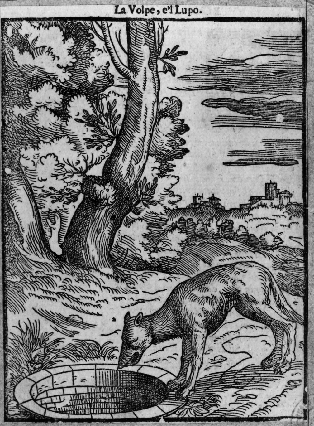 favola della volpe e il lupo (stampa smarginata, serie) di Verdizotti Giovanni Mario (sec. XVI)