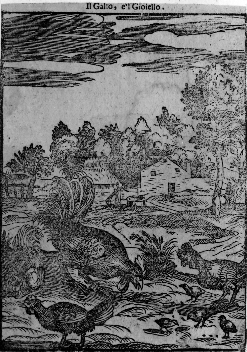 favola del gallo e il gioiello (stampa smarginata, serie) di Verdizotti Giovanni Mario (sec. XVI)
