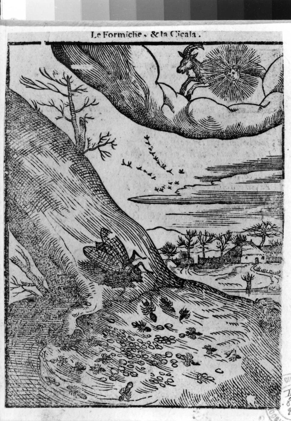 favola della cicala e la formica (stampa smarginata, serie) di Verdizotti Giovanni Mario (sec. XVI)