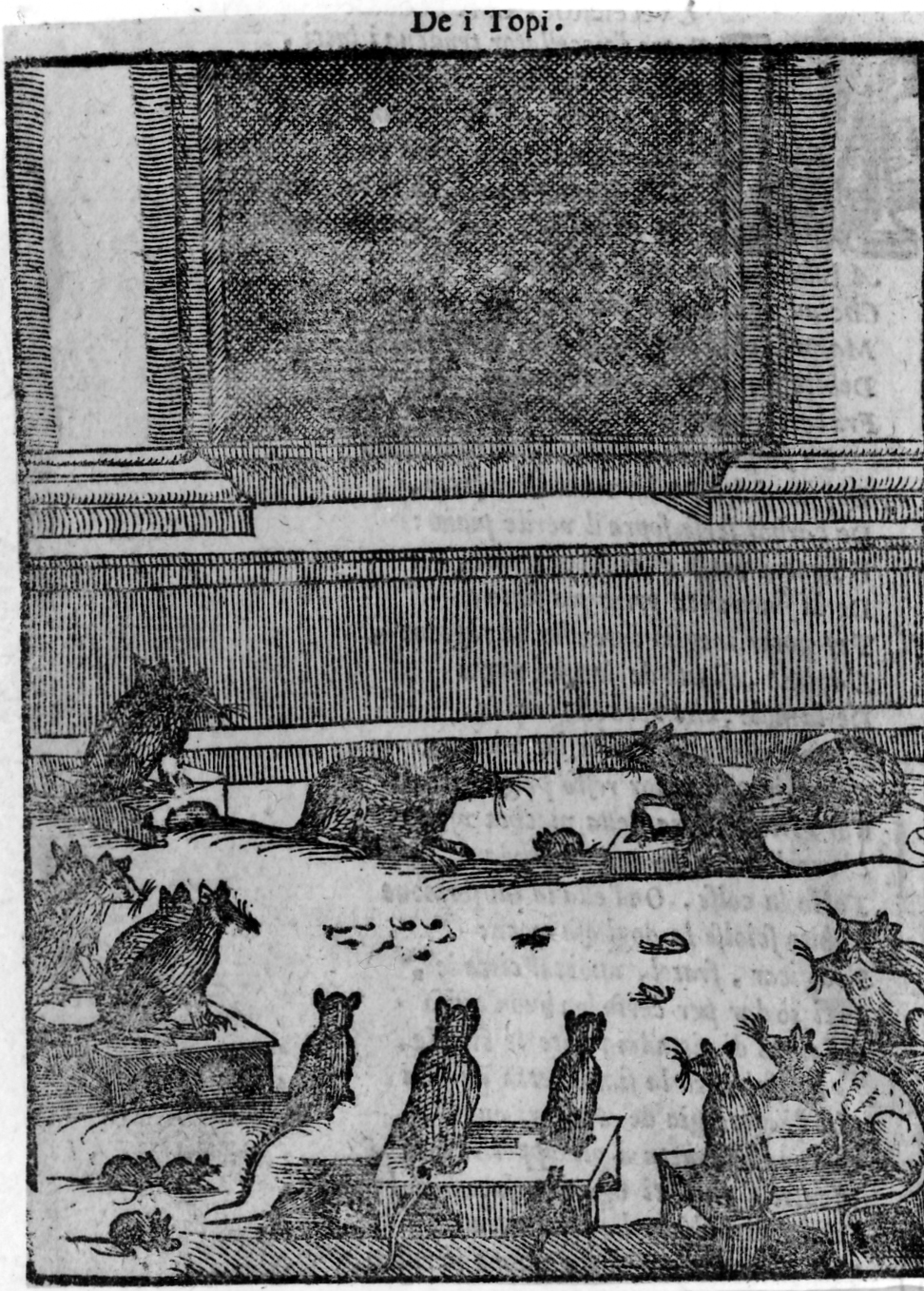 favola dei topi (stampa smarginata, serie) di Verdizotti Giovanni Mario (sec. XVI)