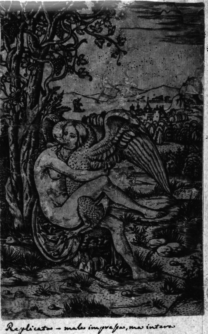 Leda e il cigno (stampa smarginata) di Nicoletto da Modena (inizio sec. XVI)
