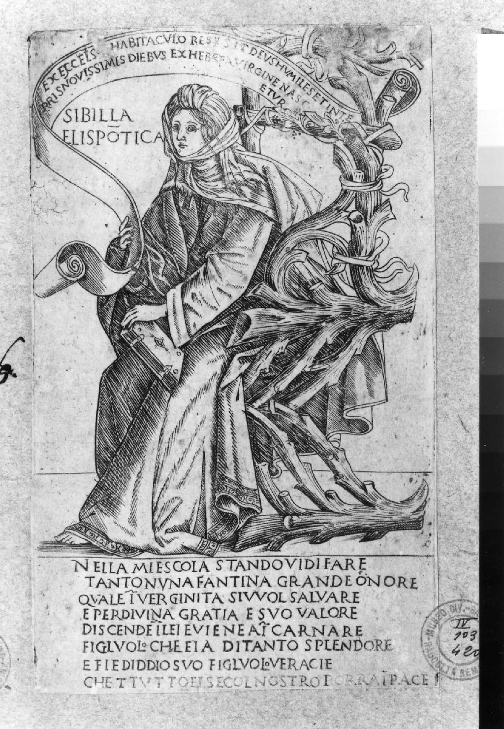 Sibilla Ellespontica (stampa smarginata, serie) di Baldini Baccio, Rosselli Francesco di Lorenzo (sec. XV)