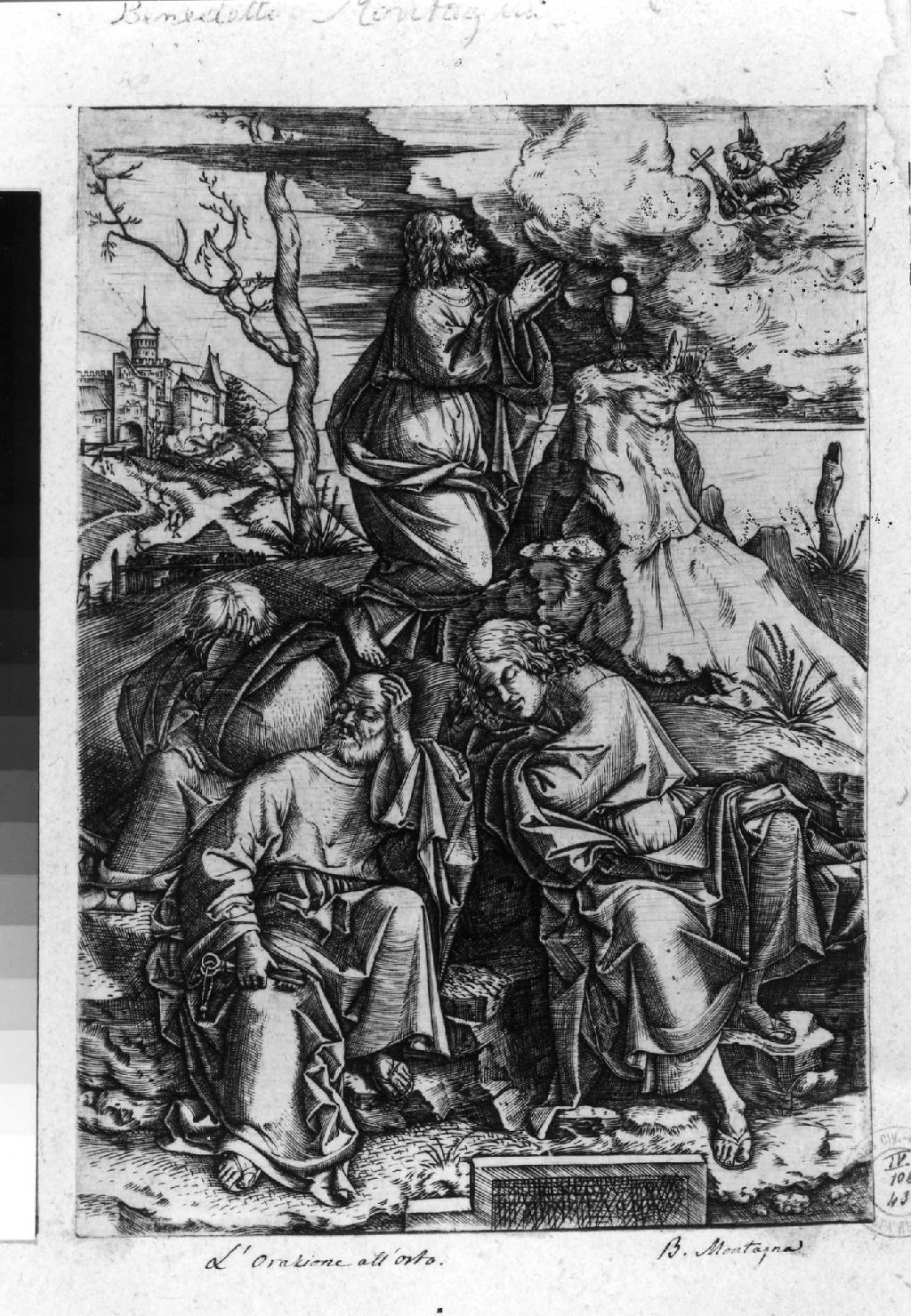 orazione di Cristo nell'orto di Getsemani (stampa smarginata) di Montagna Benedetto (sec. XVI)