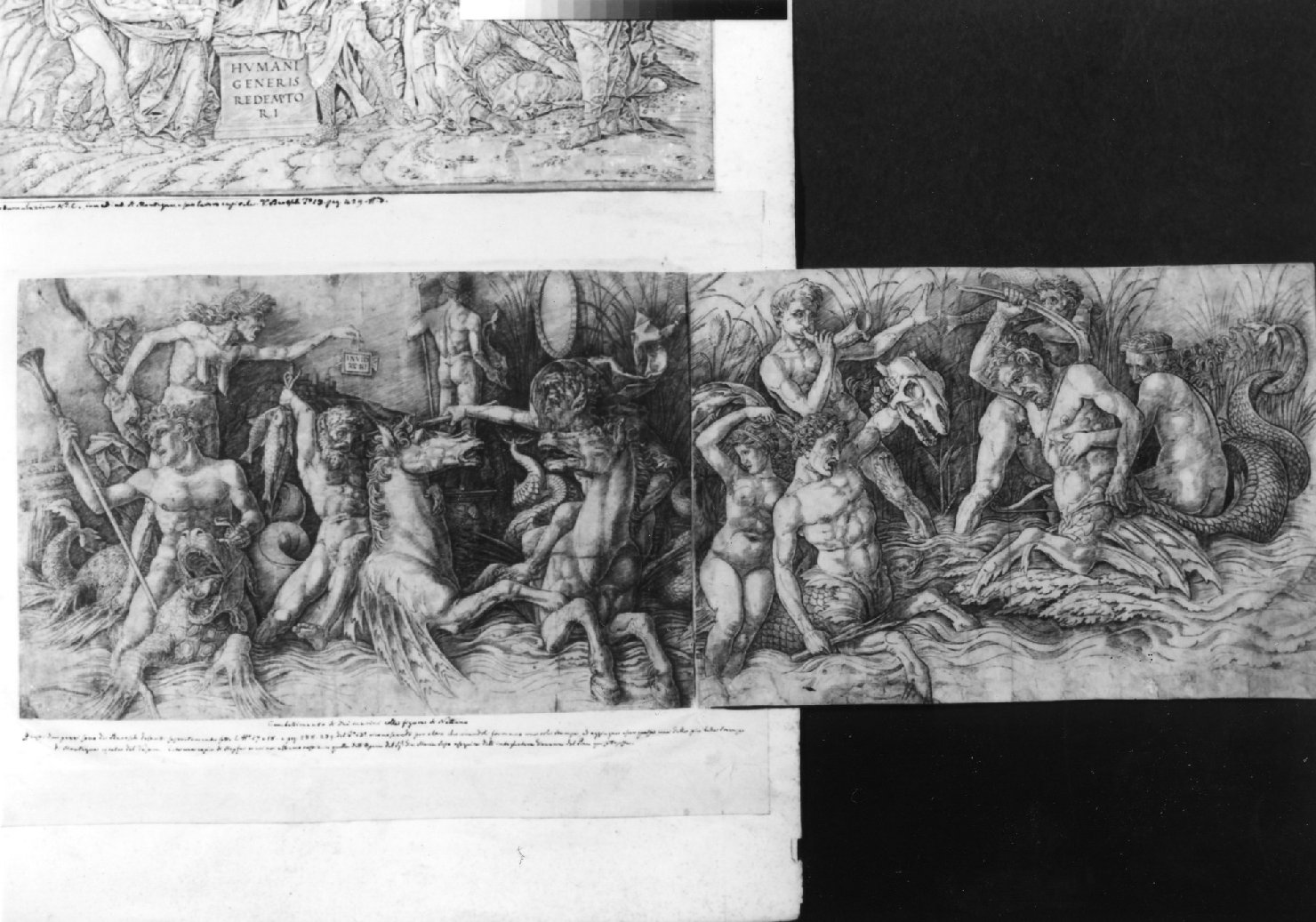 Zuffa di dei marini, Nereidi e tritoni (stampa smarginata, stampa composita) di Mantegna Andrea (sec. XV)