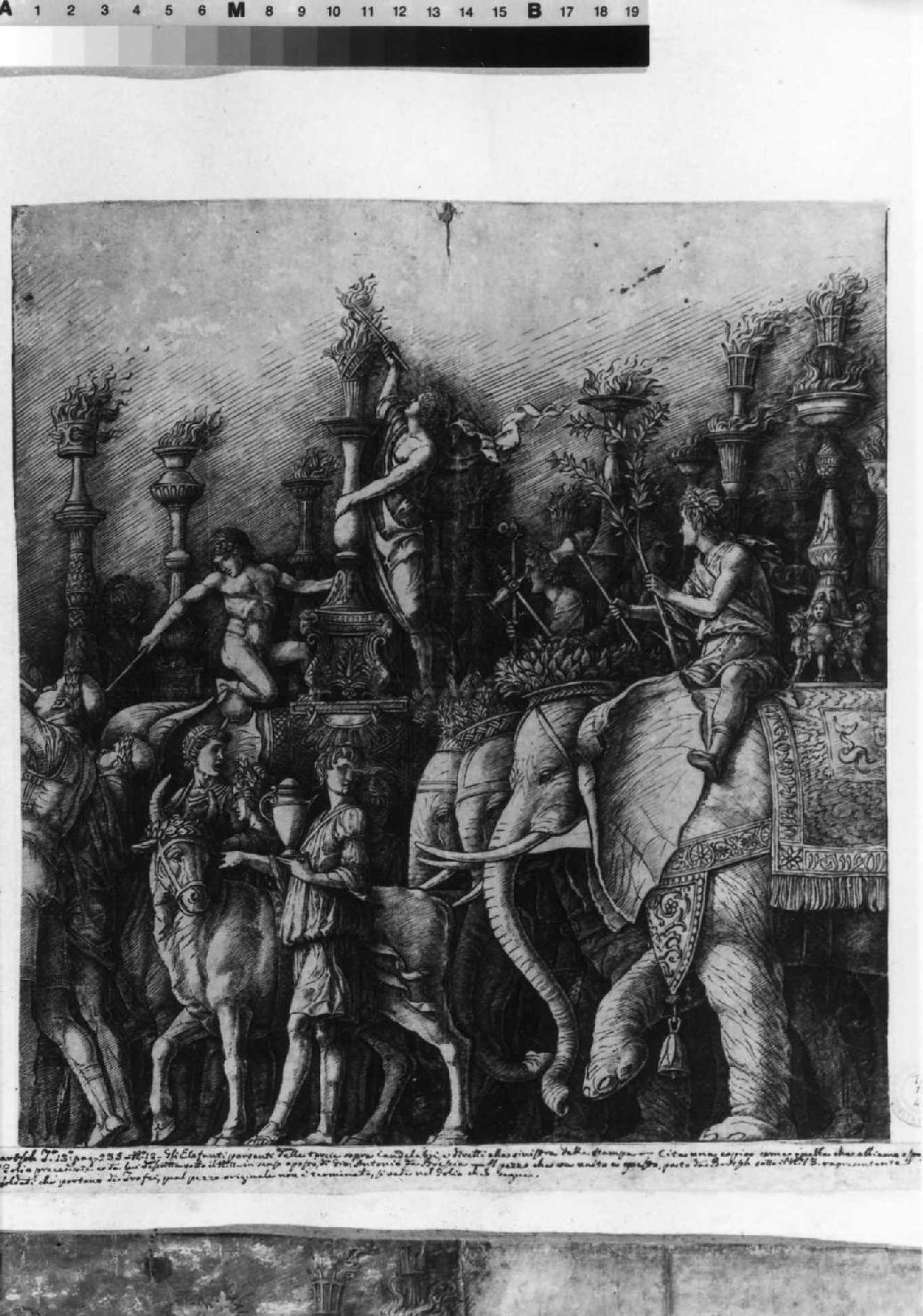 trionfo di Cesare (stampa smarginata, serie) di Mantegna Andrea (sec. XV)