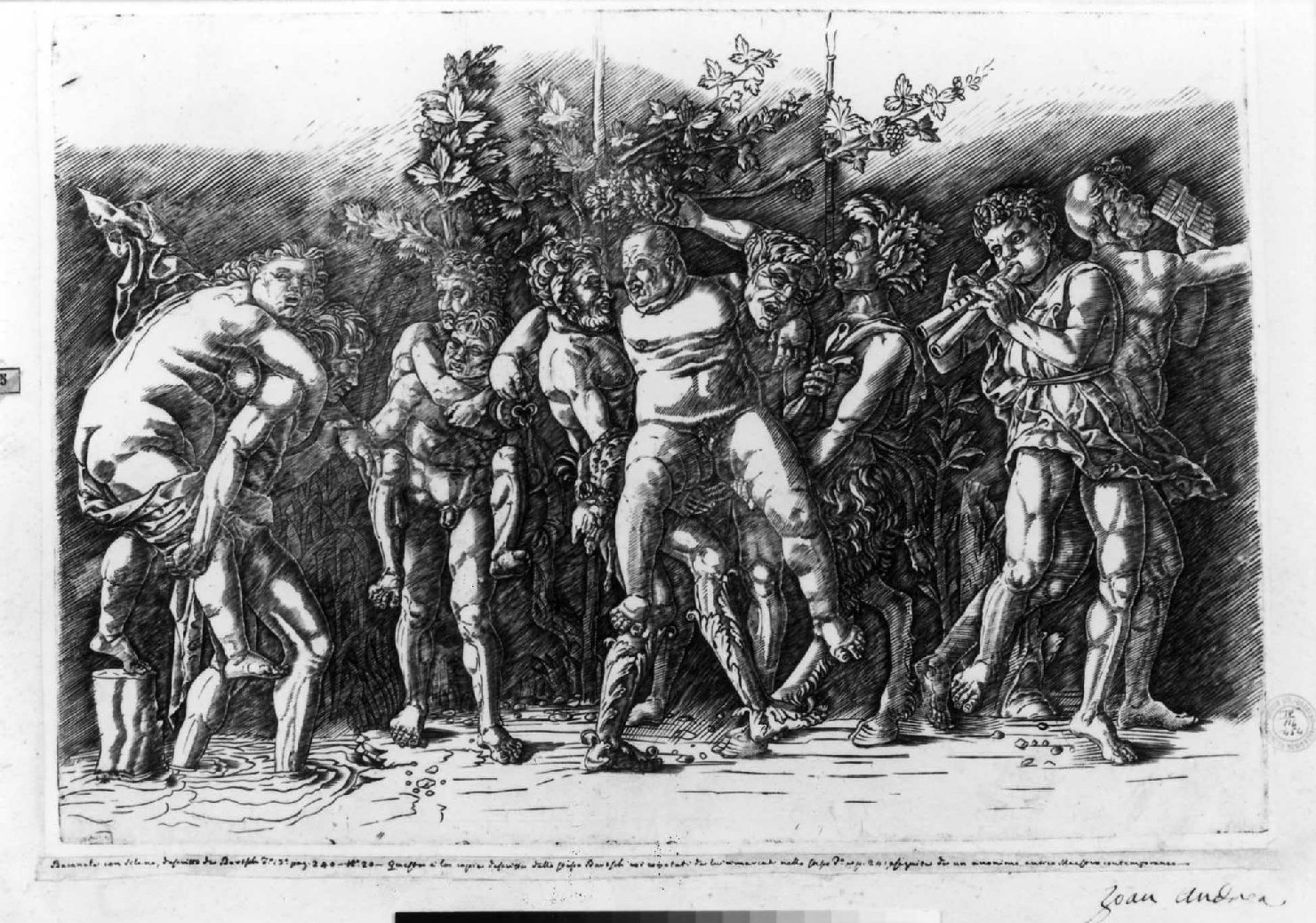 Baccanale con sileno, baccanale (stampa smarginata) di Zoan Andrea, Mantegna Andrea (fine sec. XV)