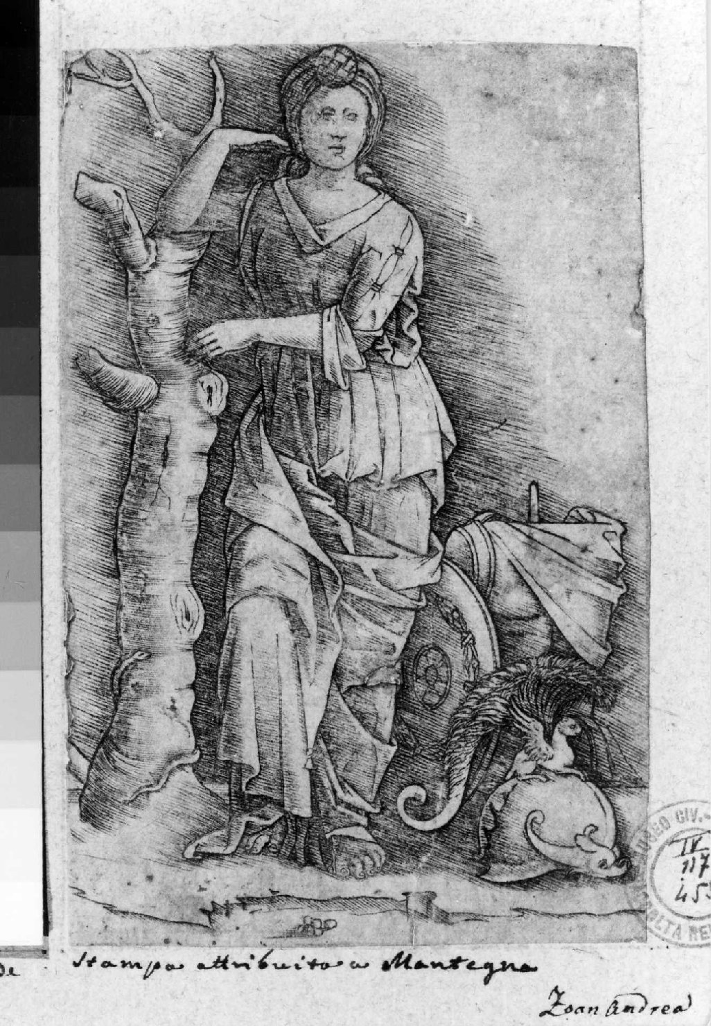 Minerva (stampa smarginata) di Zoan Andrea (attribuito), Mantegna Andrea (attribuito) (inizio sec. XVI)