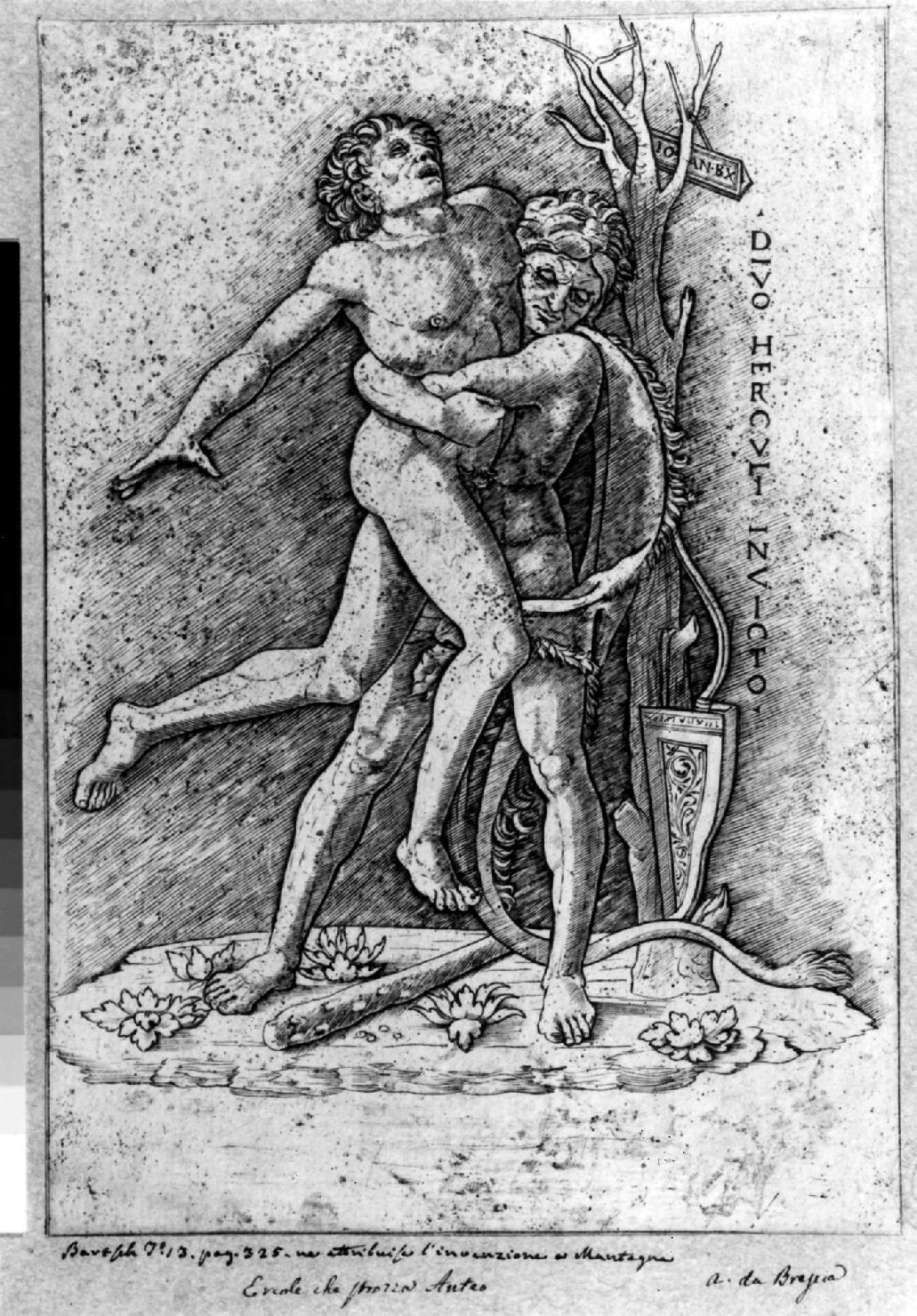 Ercole e Anteo (stampa smarginata) di Mantegna Andrea, Giovanni Antonio da Brescia (fine/inizio secc. XV/ XVI)
