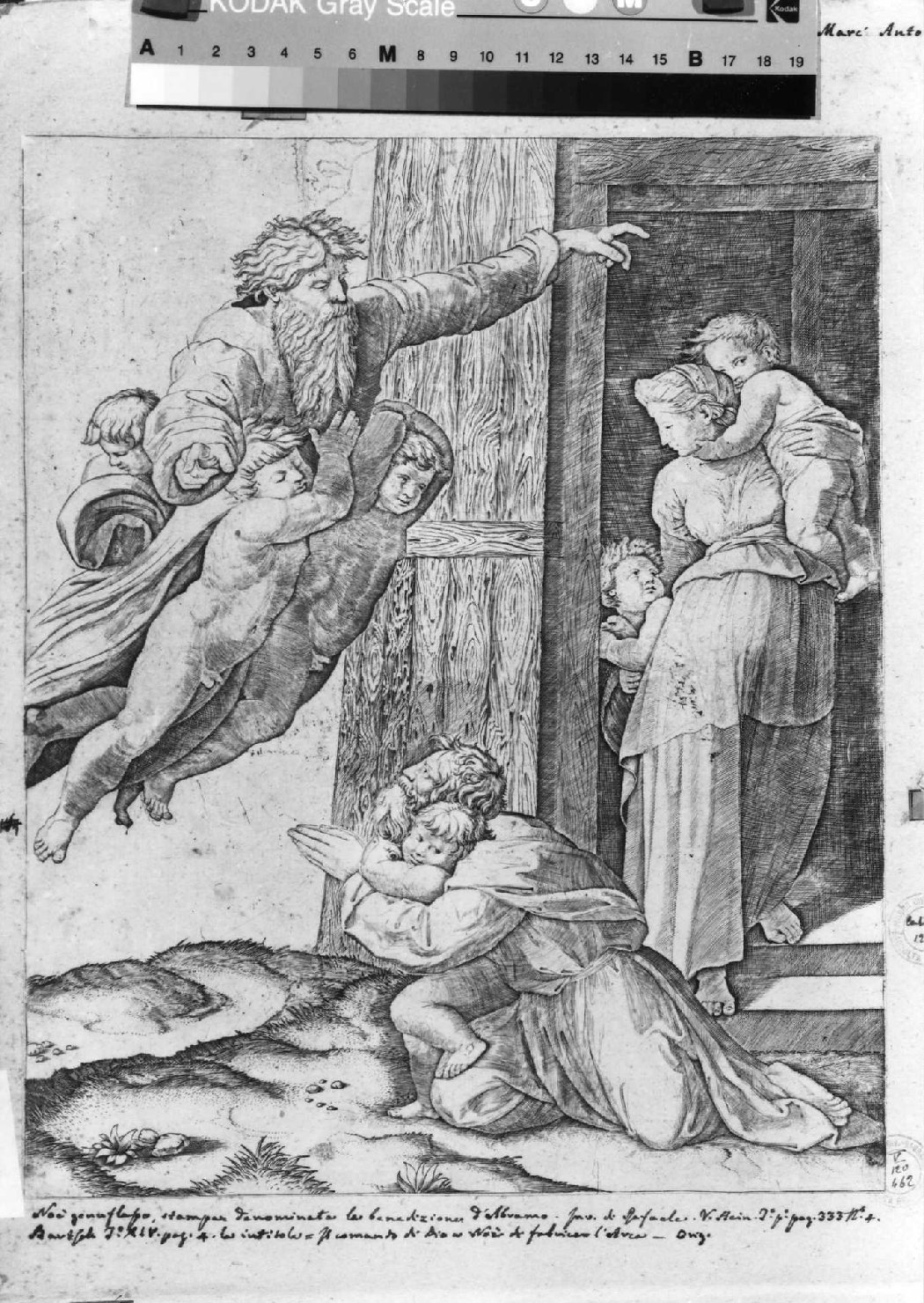 uscita di Noè e della sua famiglia dall'arca (stampa smarginata) di Raimondi Marcantonio, Sanzio Raffaello (sec. XVI)