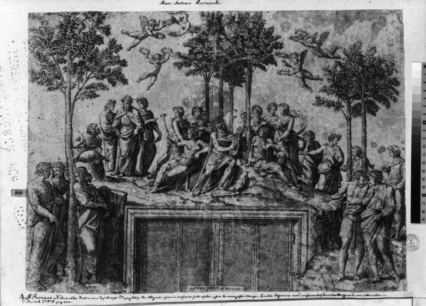 Parnaso (stampa smarginata) di Raimondi Marcantonio, Sanzio Raffaello (sec. XVI)