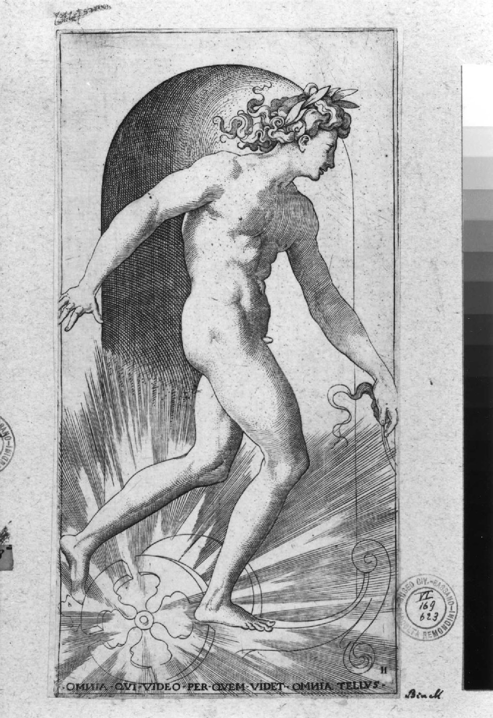 Apollo (stampa smarginata, serie) di Rosso Fiorentino, Binck Jacob (sec. XVI)