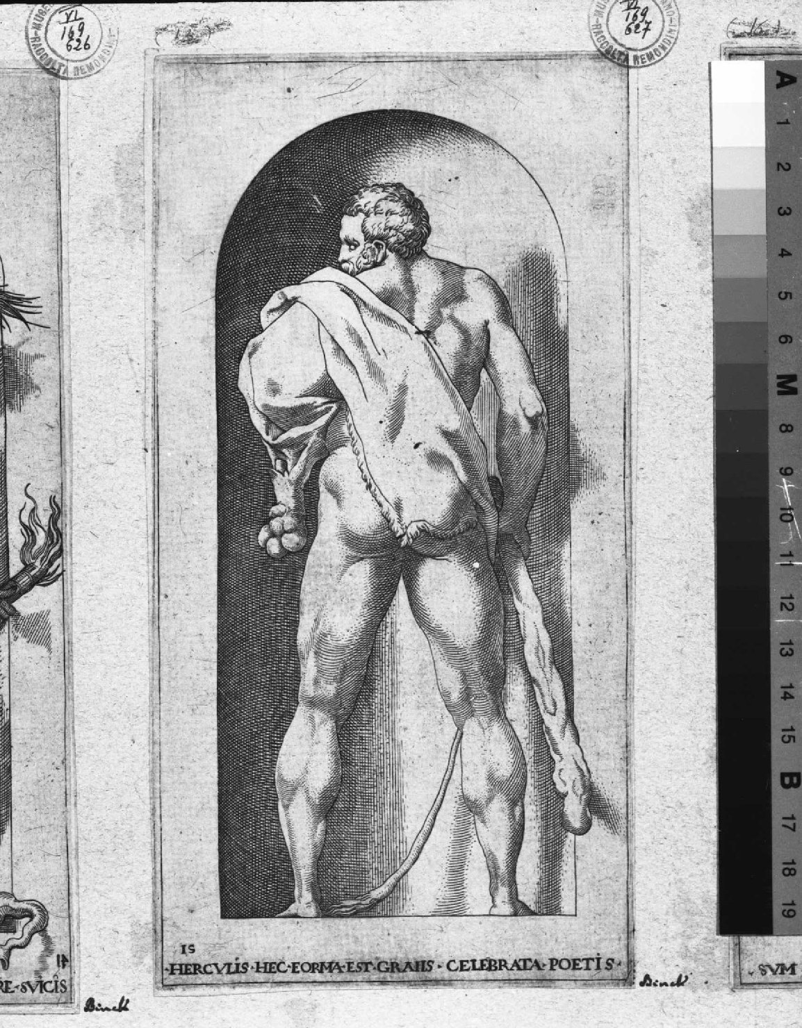 Ercole (stampa smarginata, serie) di Rosso Fiorentino, Binck Jacob (sec. XVI)